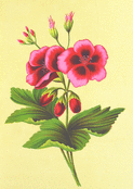 Bouquet de fleurs &eacute;clatantes en &eacute;t&eacute;